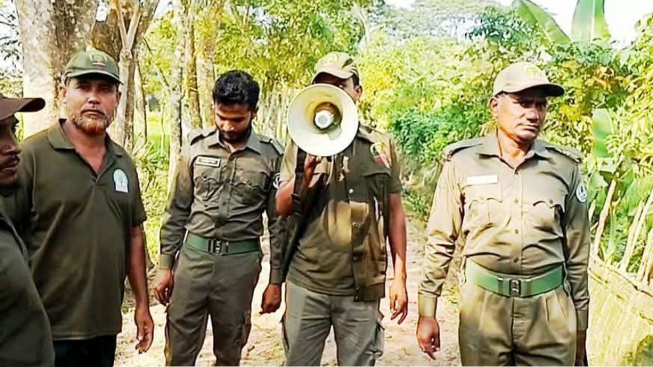 ৮ দিনের ব্যবধানে আবারও লোকালয়ে বাঘ, সুন্দরবনসংলগ্ন এলাকায় আতঙ্ক